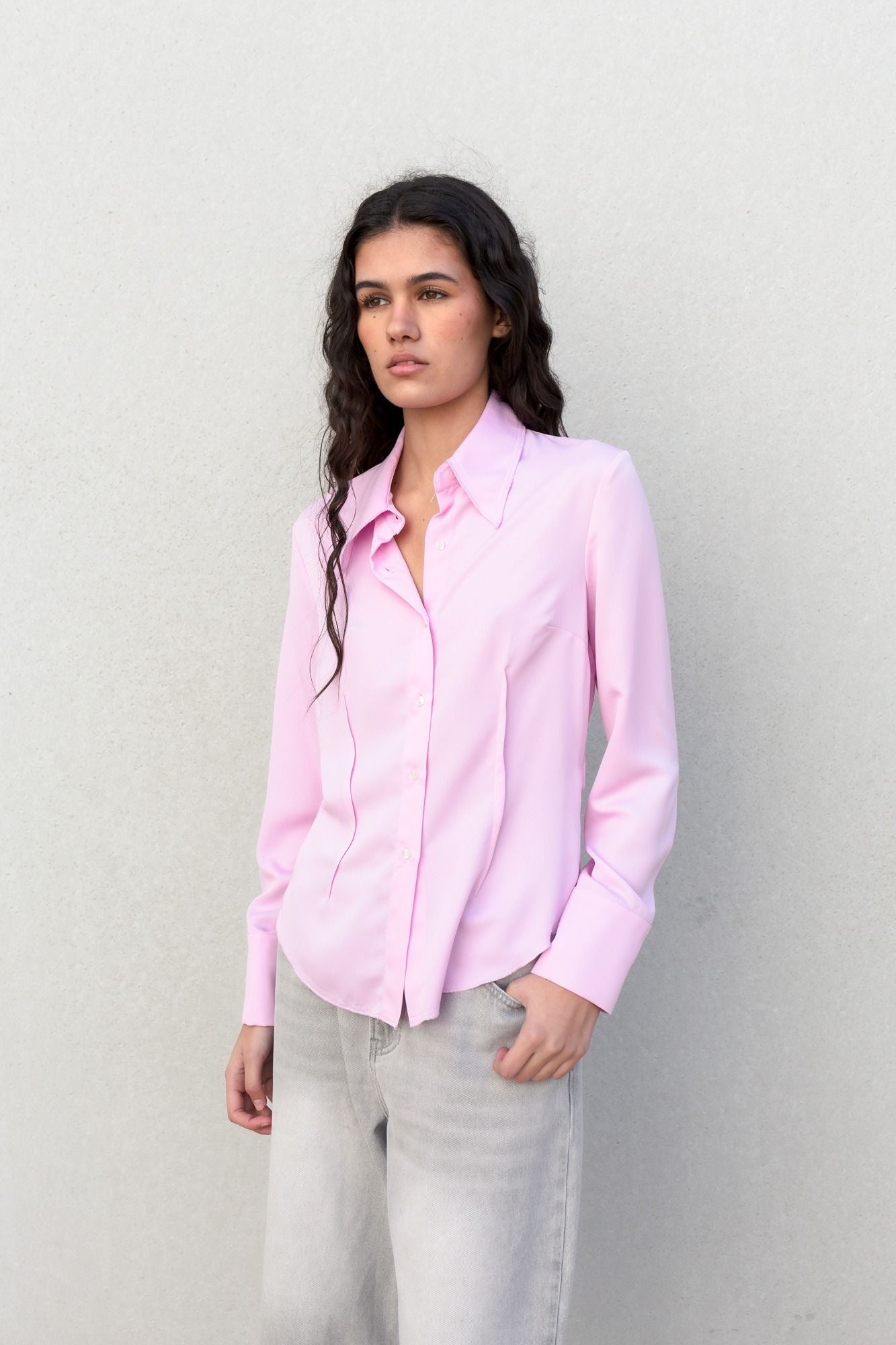 CAMISA ENTALLADA PINZAS